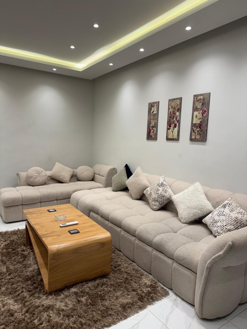Living room — lounge and coffee table